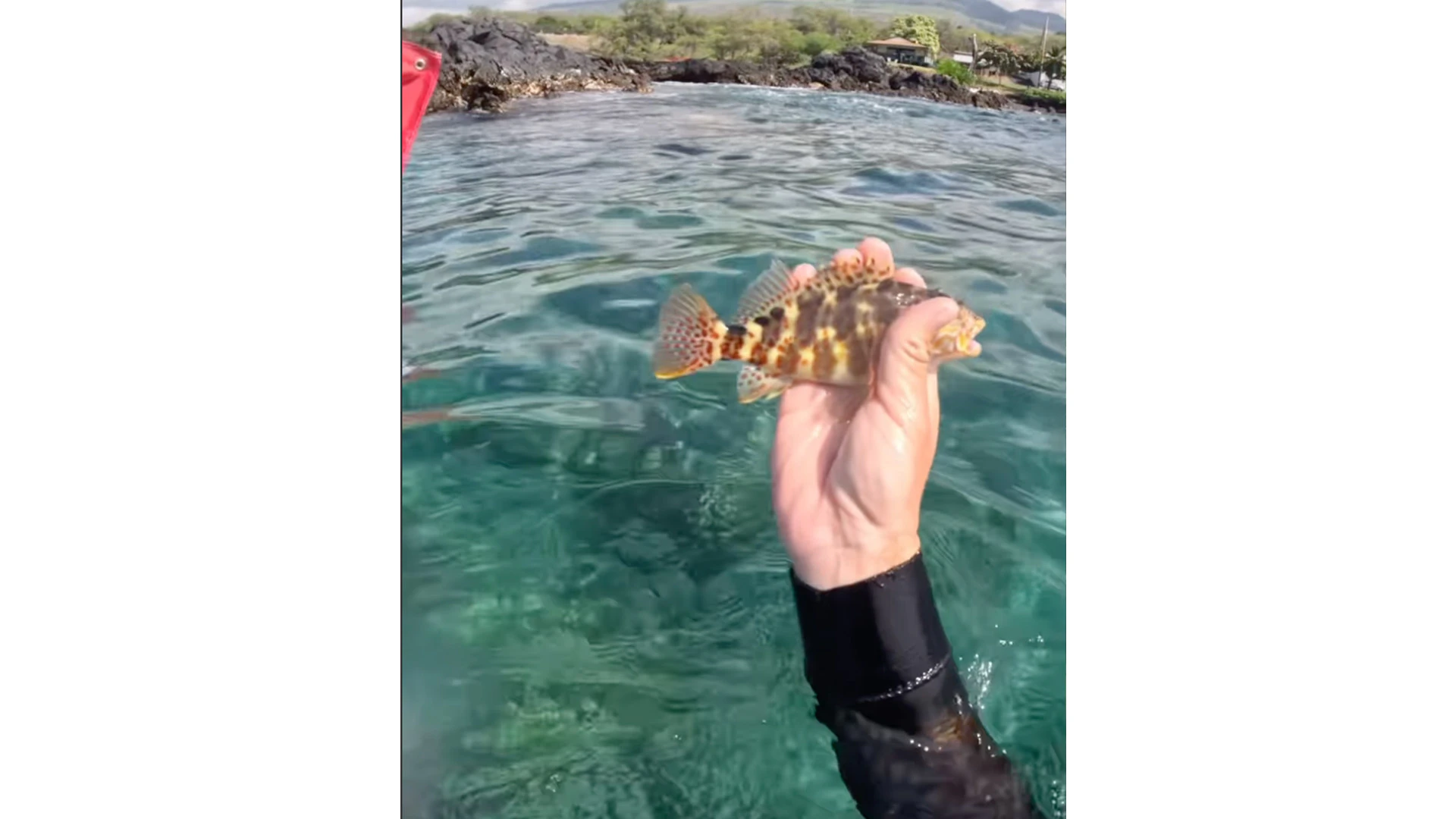 Hawai‘i Scene on Social: Straight from the source