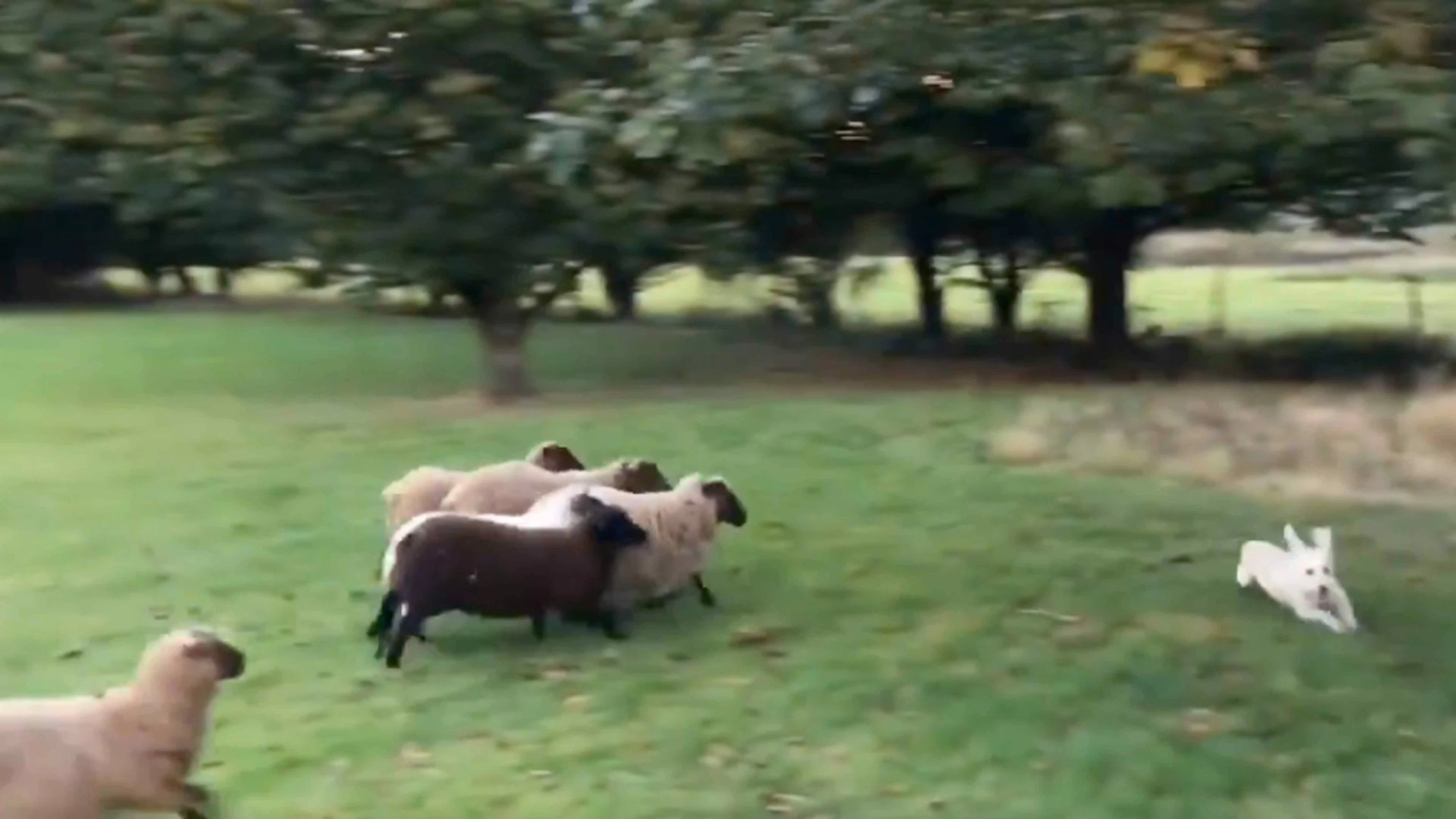 Daily Smile: Tuesday, April 7, 2026