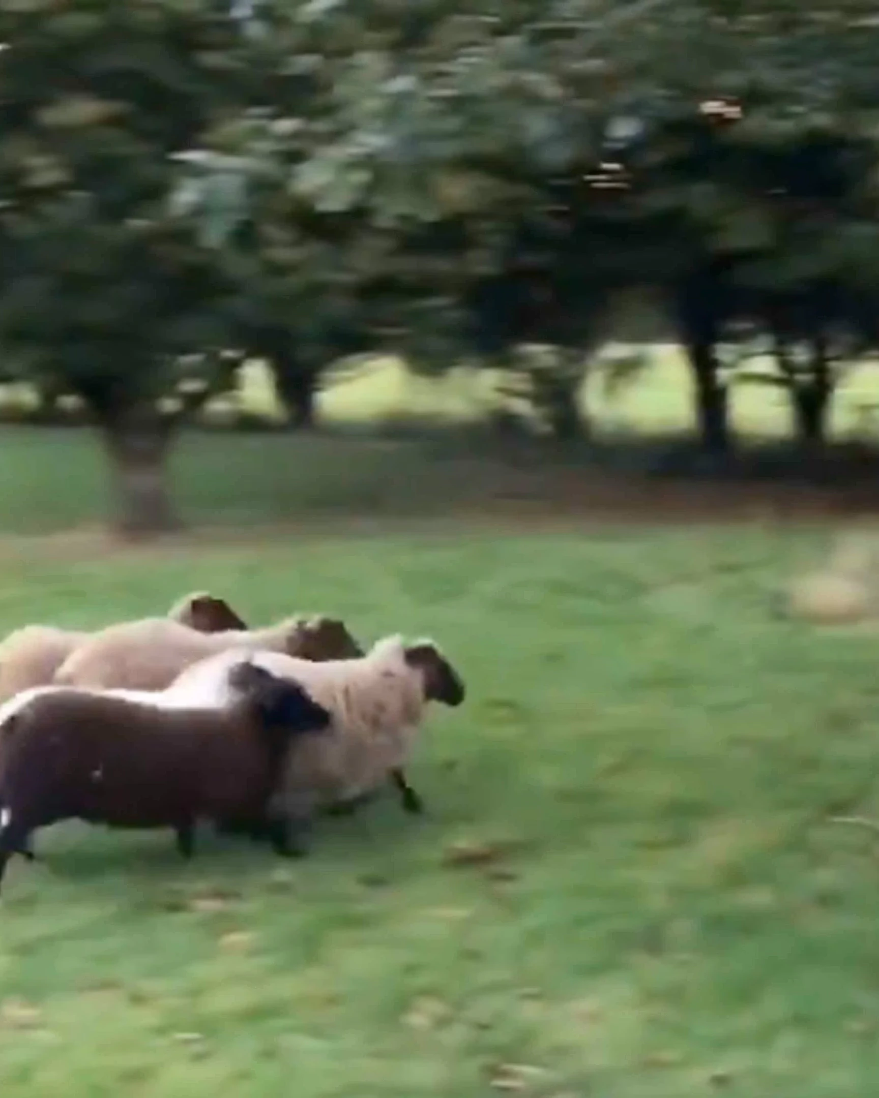 Daily Smile: Tuesday, April 7, 2026