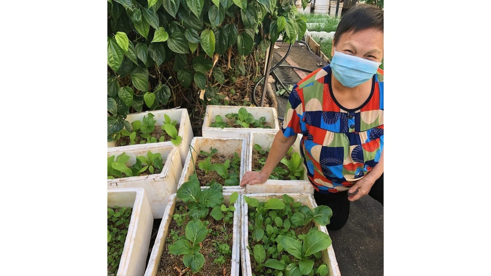 A woman poses next to vegetables growing in containers