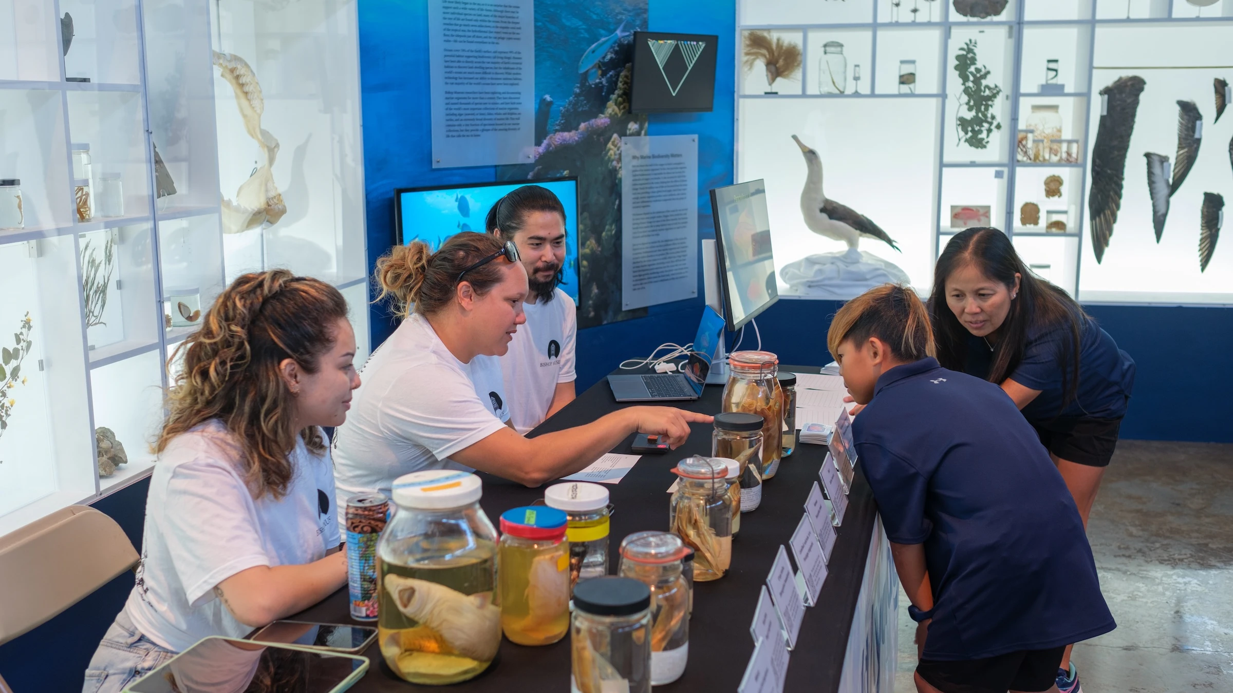 Dinosaurs, coral and science to be showcased at this Oʻahu festival