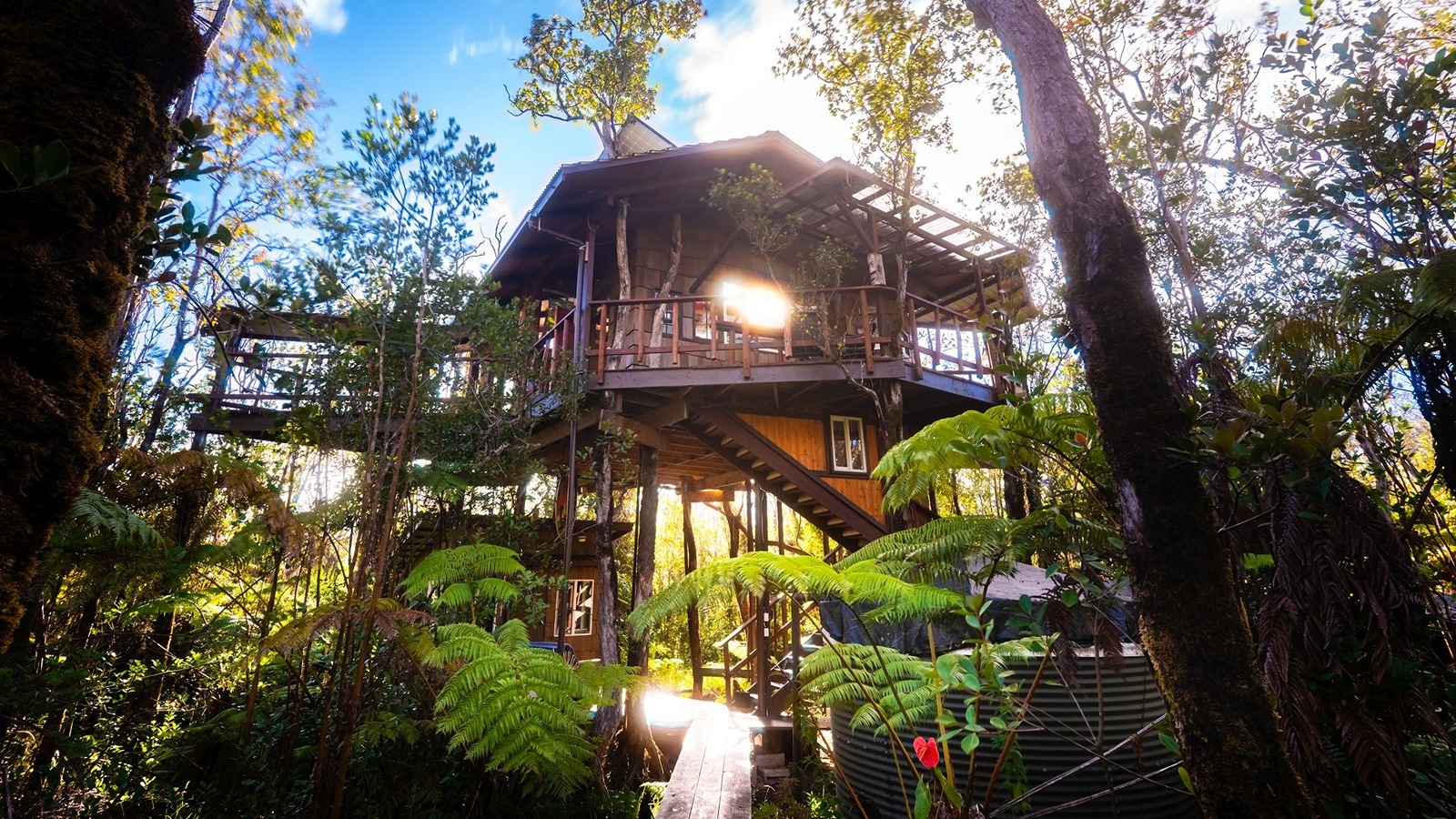 'Secret Treehouse' in Volcano was one of Airbnb's most loved listings in 2025