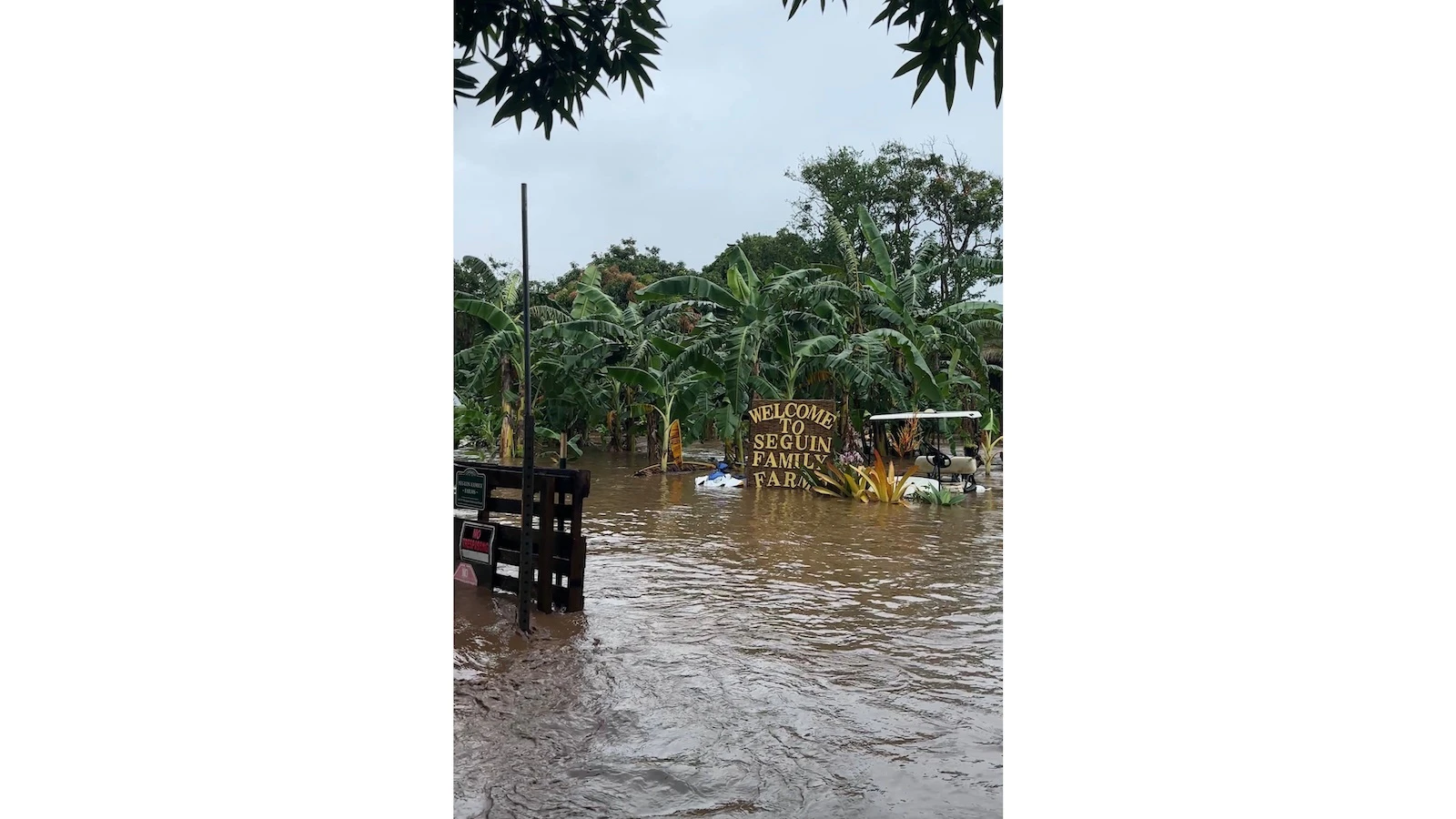 flooding