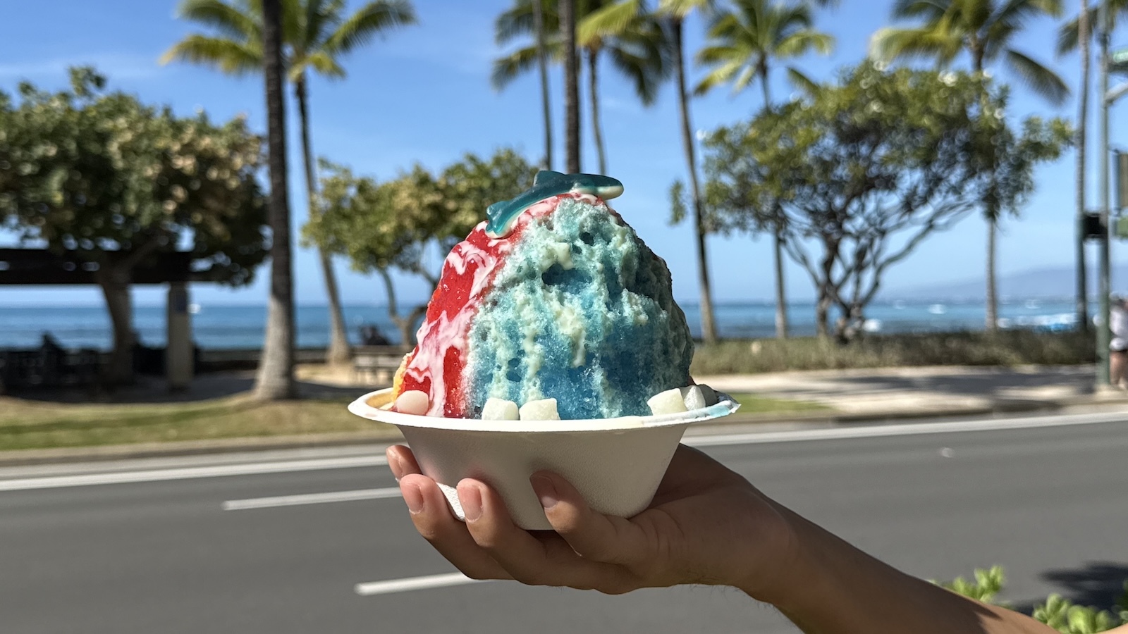 Shark Bait shave ice