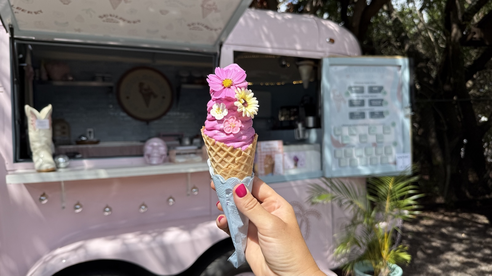 Soulberry dragon fruit