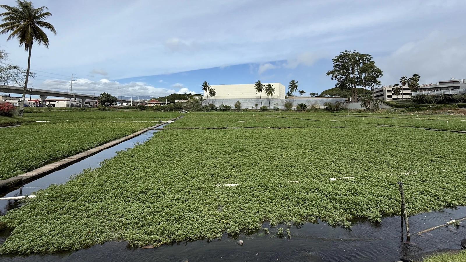 An exclusive tour of Sumida Farm