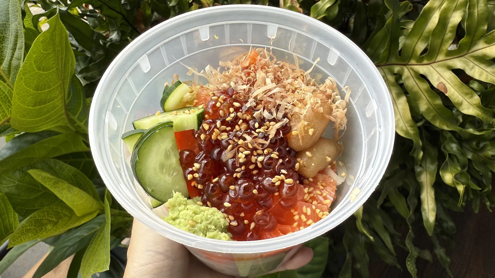 salmon and ikura