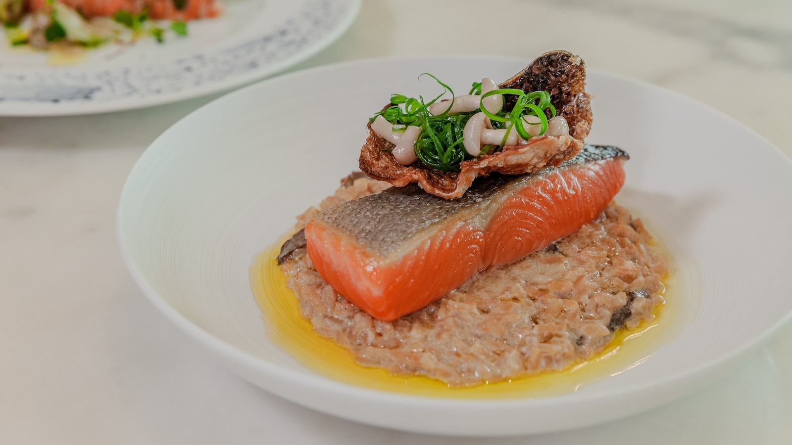 salmon