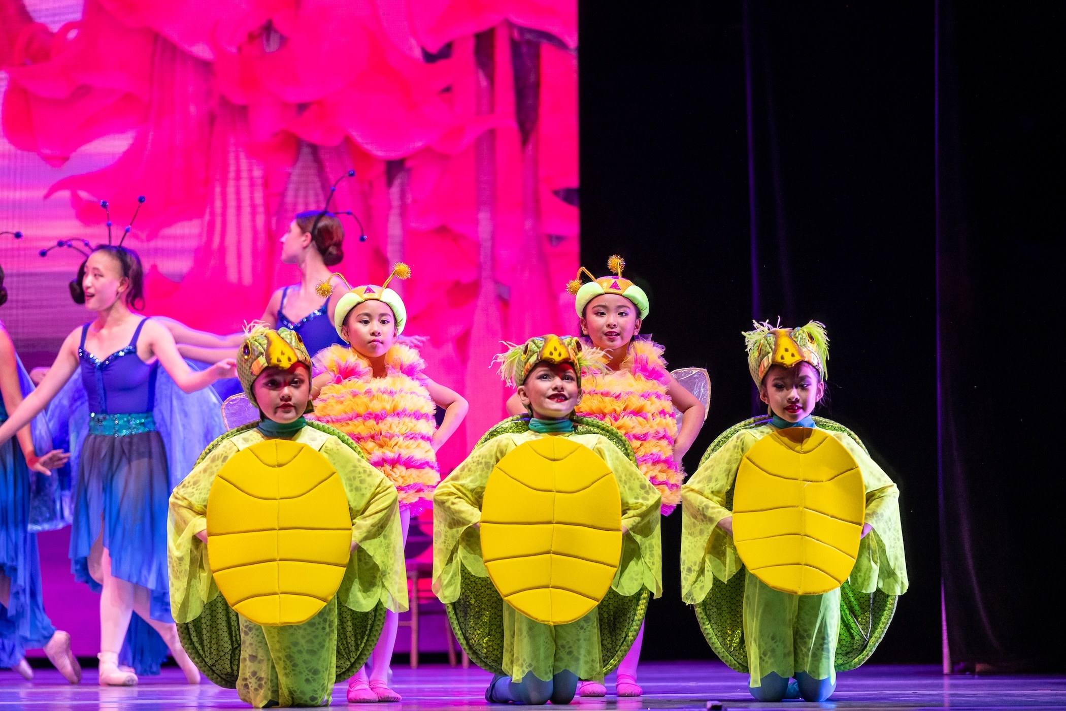 Turtles are part of "The Nutcracker" performed by Ballet Hawaiʻi.
