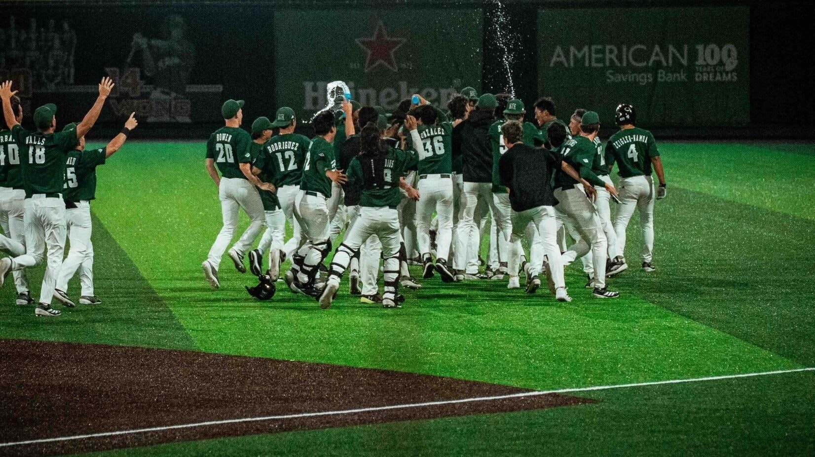 Hawaii baseball