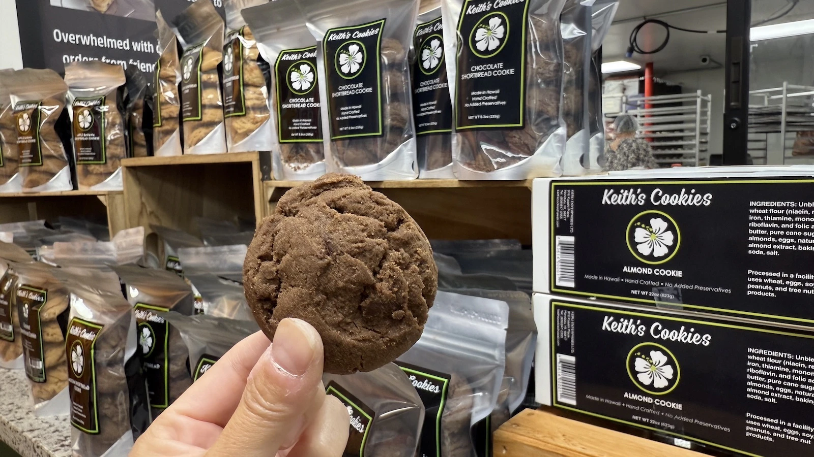 chocolate chocolate chip cookie