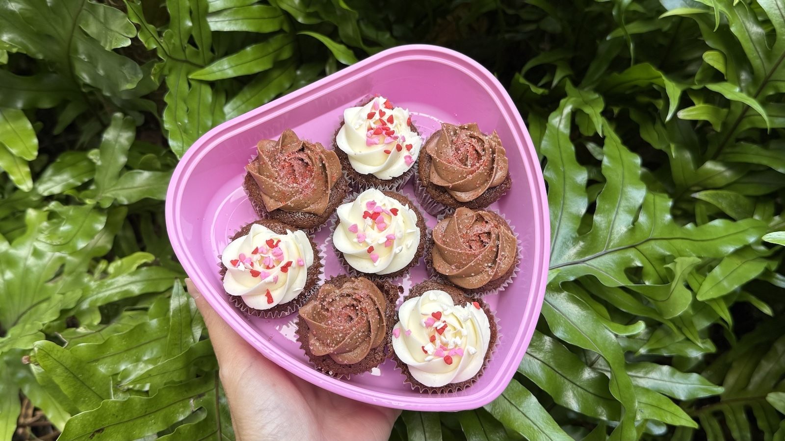 mini chocolate cupcake box