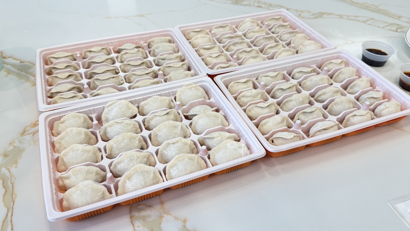 frozen dumplings