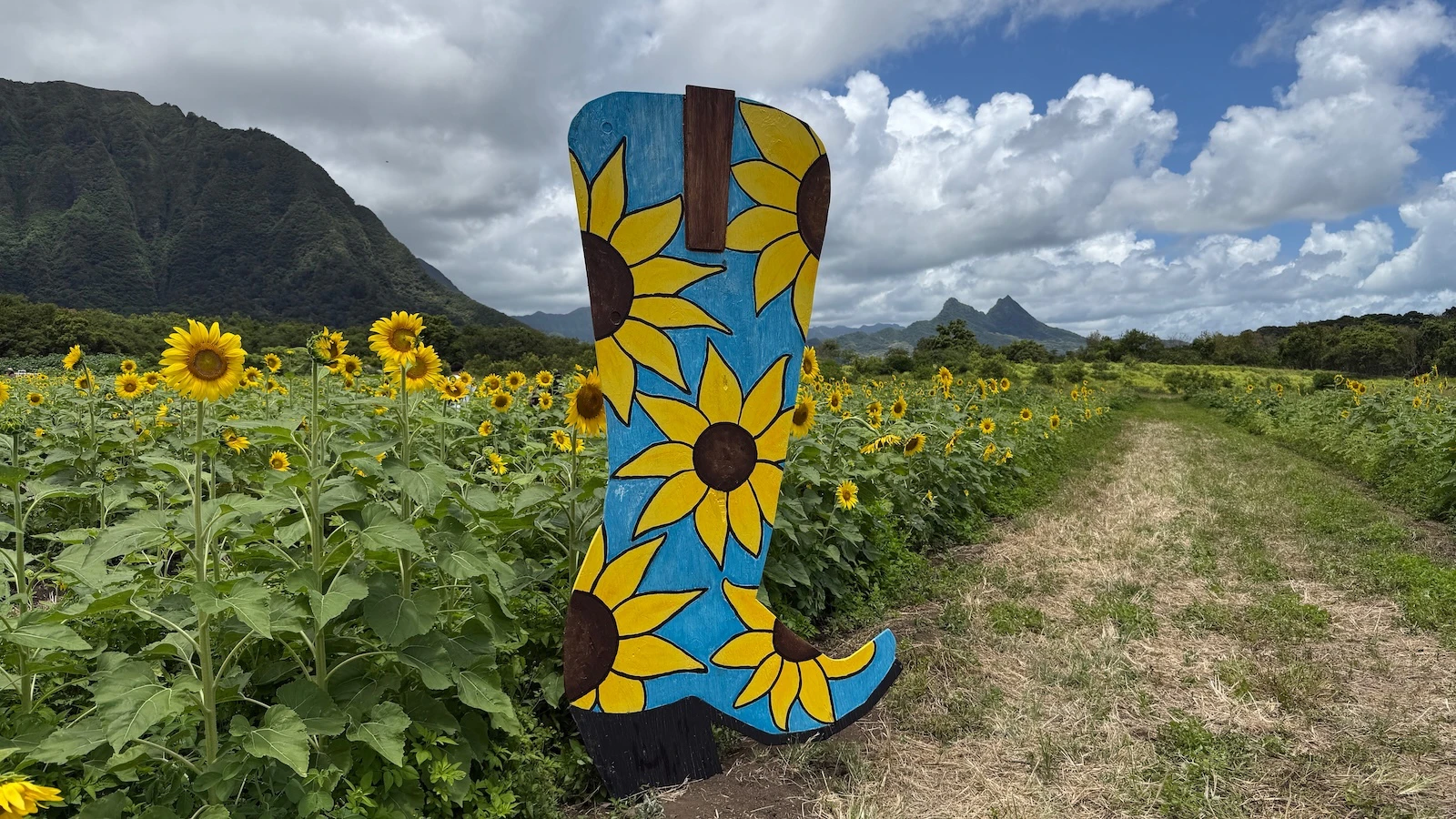 cowboy boot