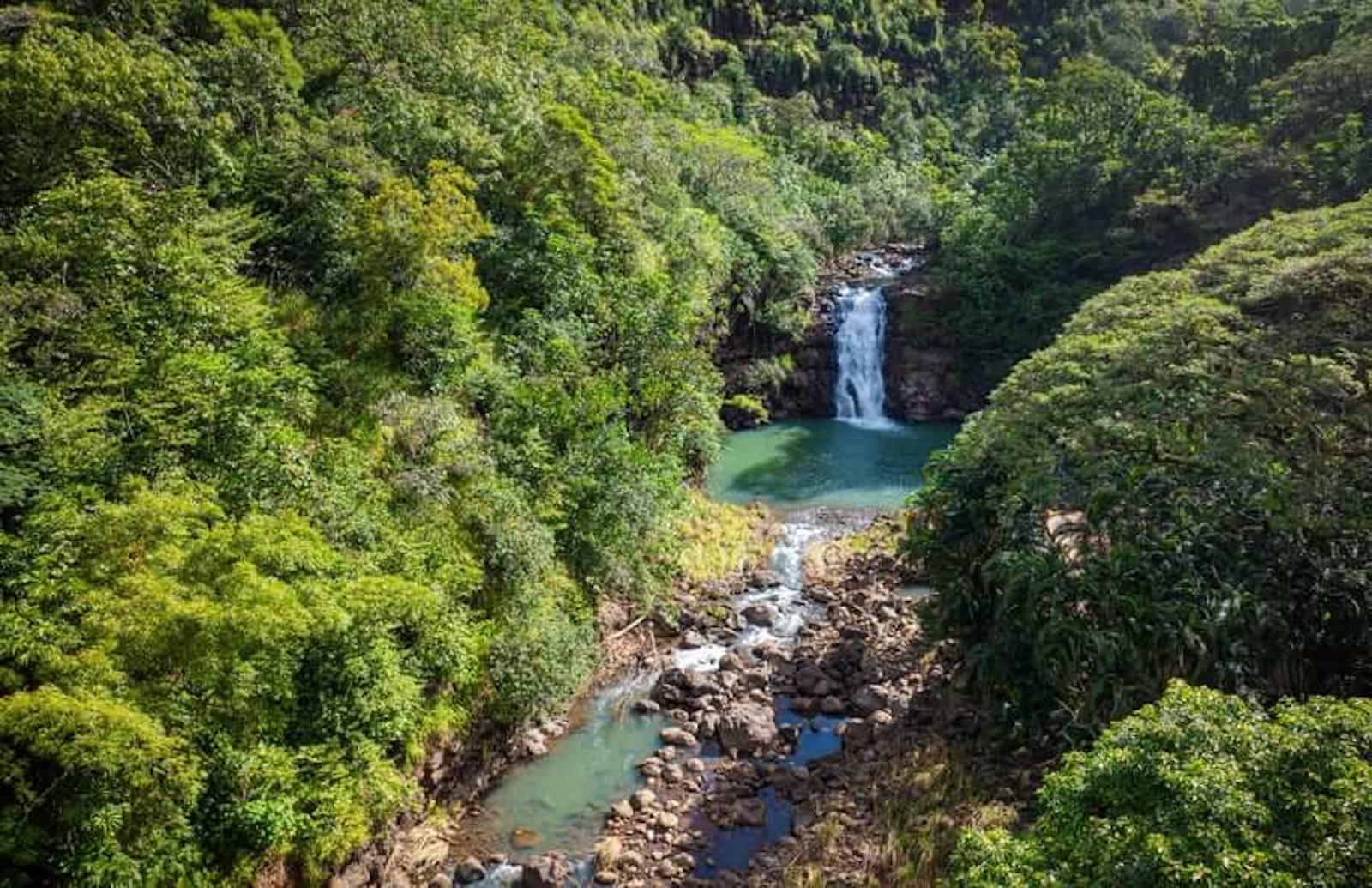 Waimea Waterfall