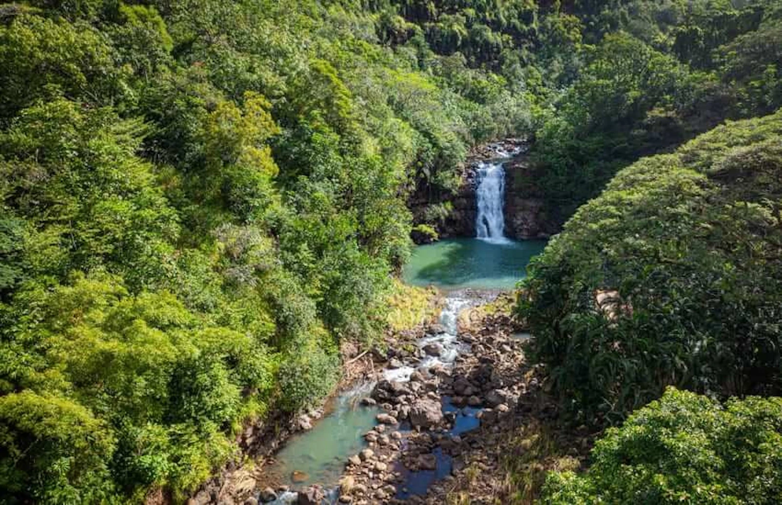 Waimea Waterfall