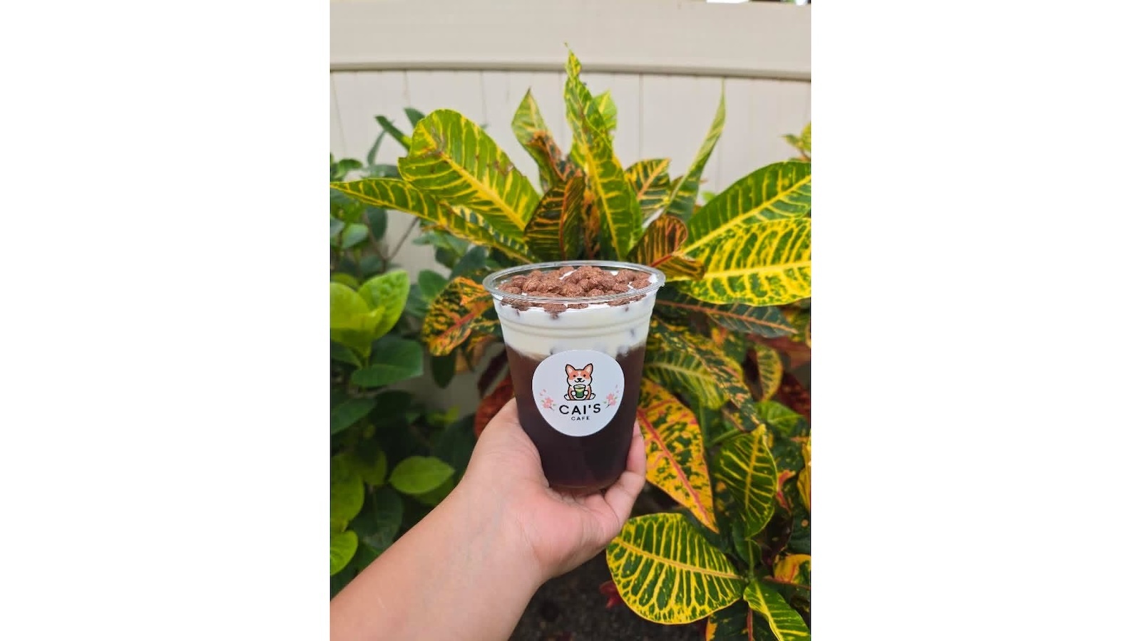 cocoa puff cold brew