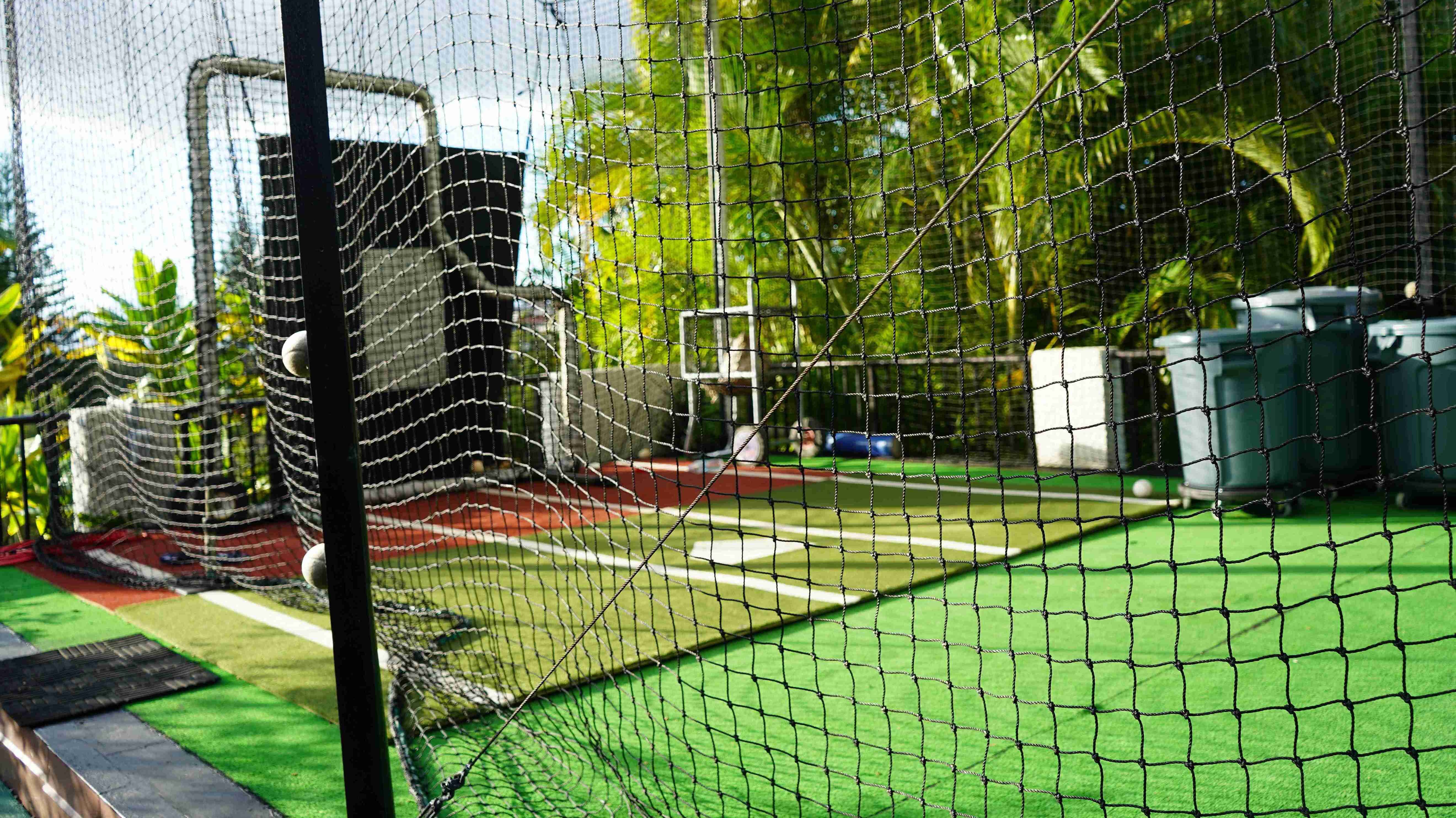 Yamaguchi family cage 2