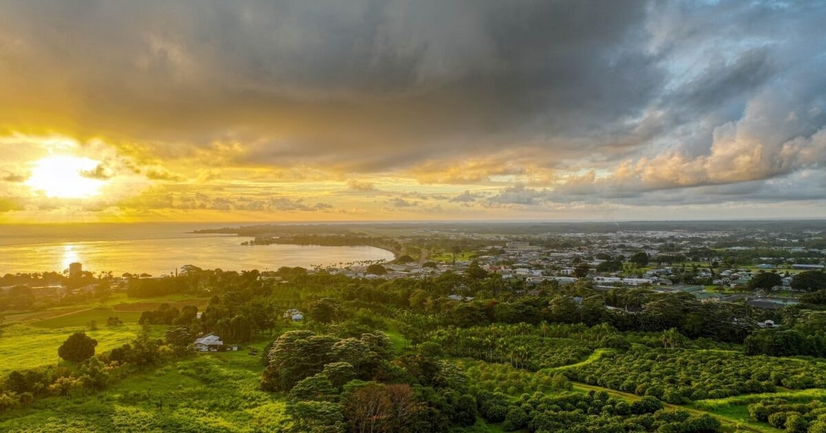 Aloha State Daily