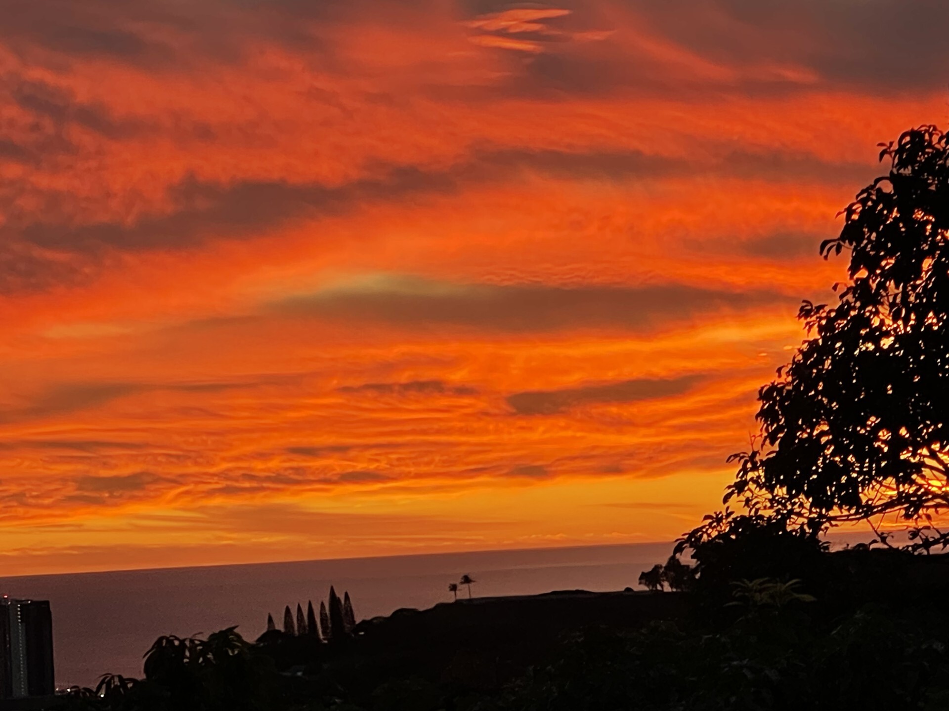 Orange sunset.