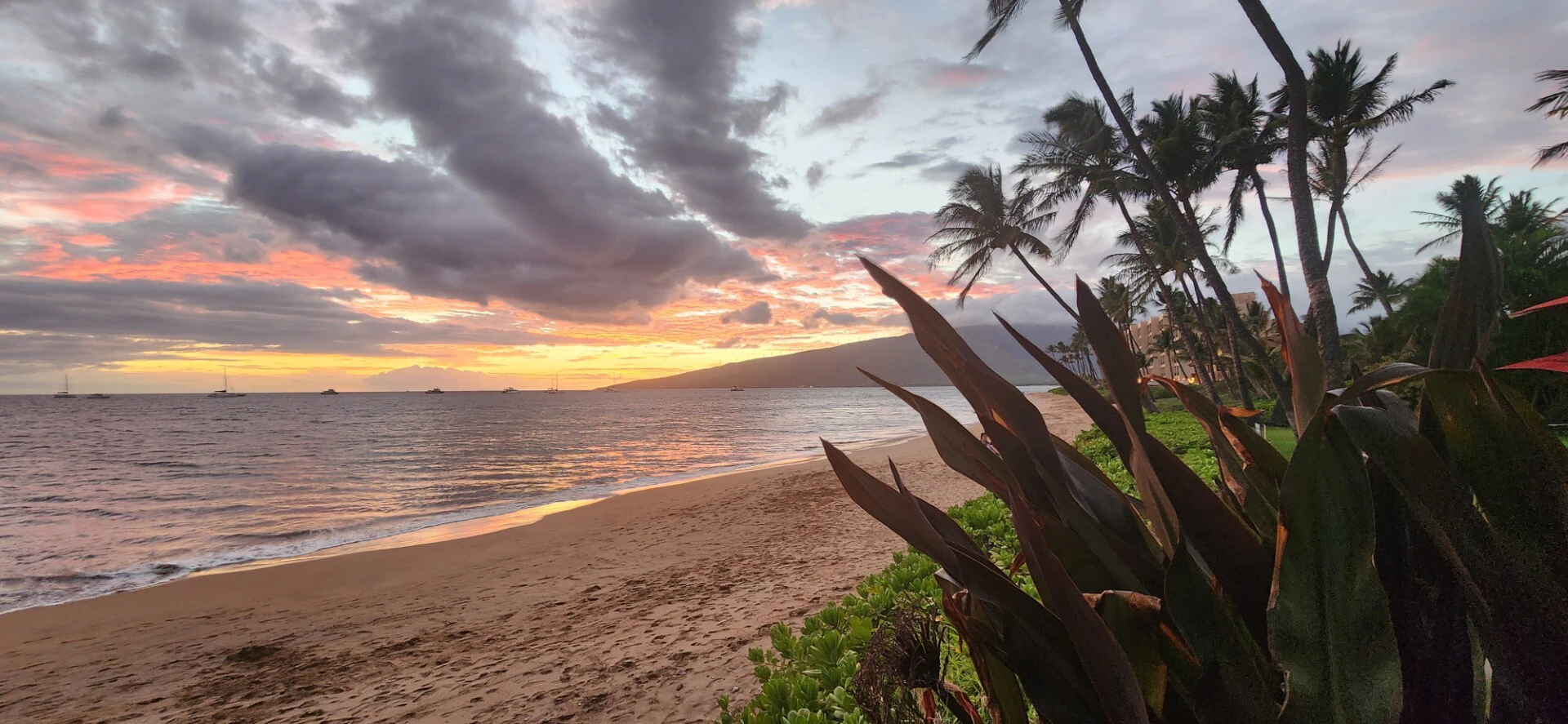 ThIs was taken from Kehei Kai on Sugar Beach on Maui this March.