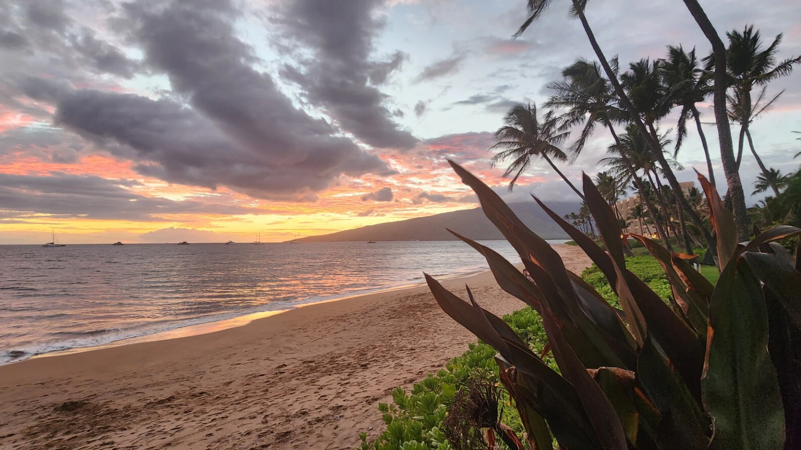 Hawaiʻi Skies: A priceless sunset
