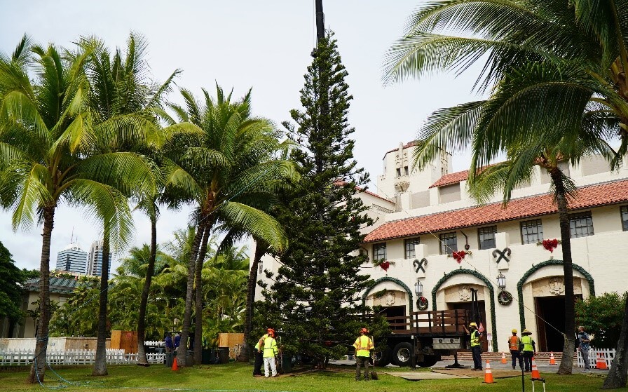 Decorations are underway outside Honolulu Hale ahead of the opening night of Honolulu City Lights.