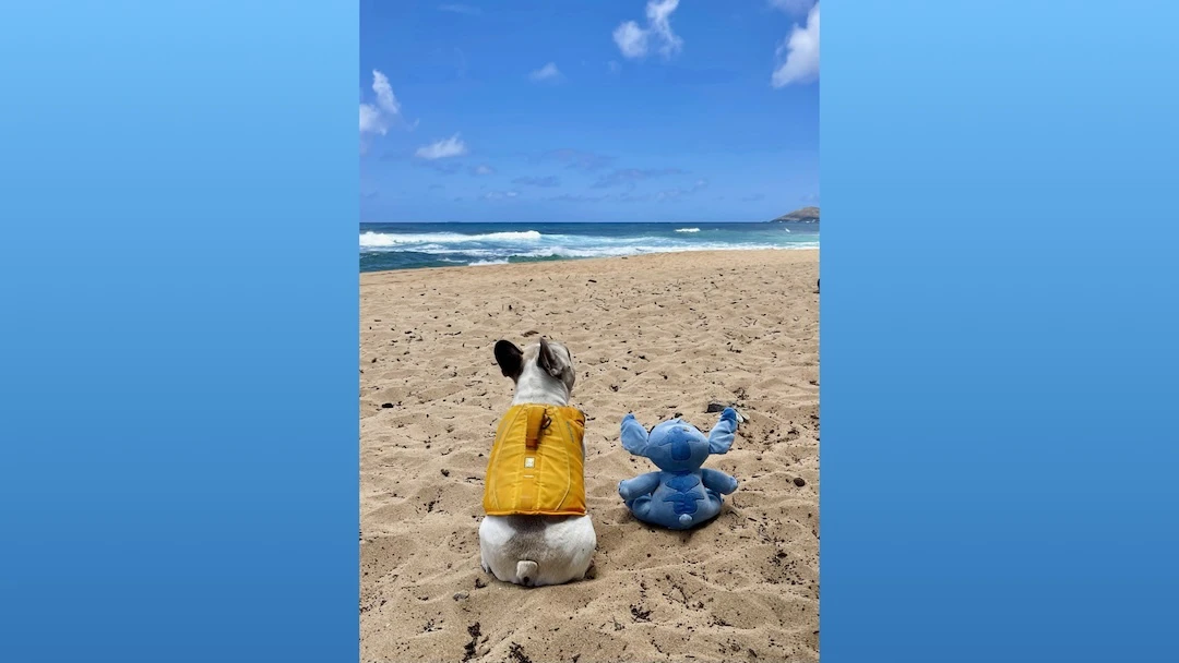 Dale and his friend, Stitch.