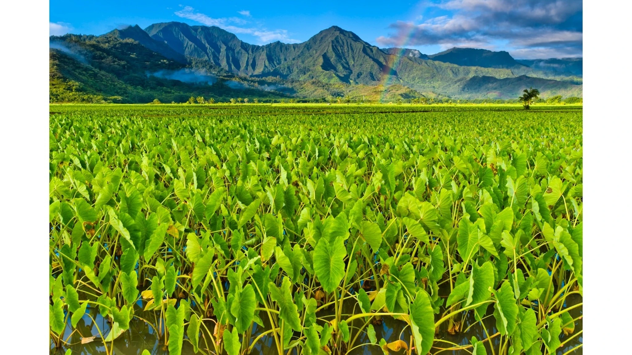 Federal funding will support housing, transportation projects on Kaua‘i