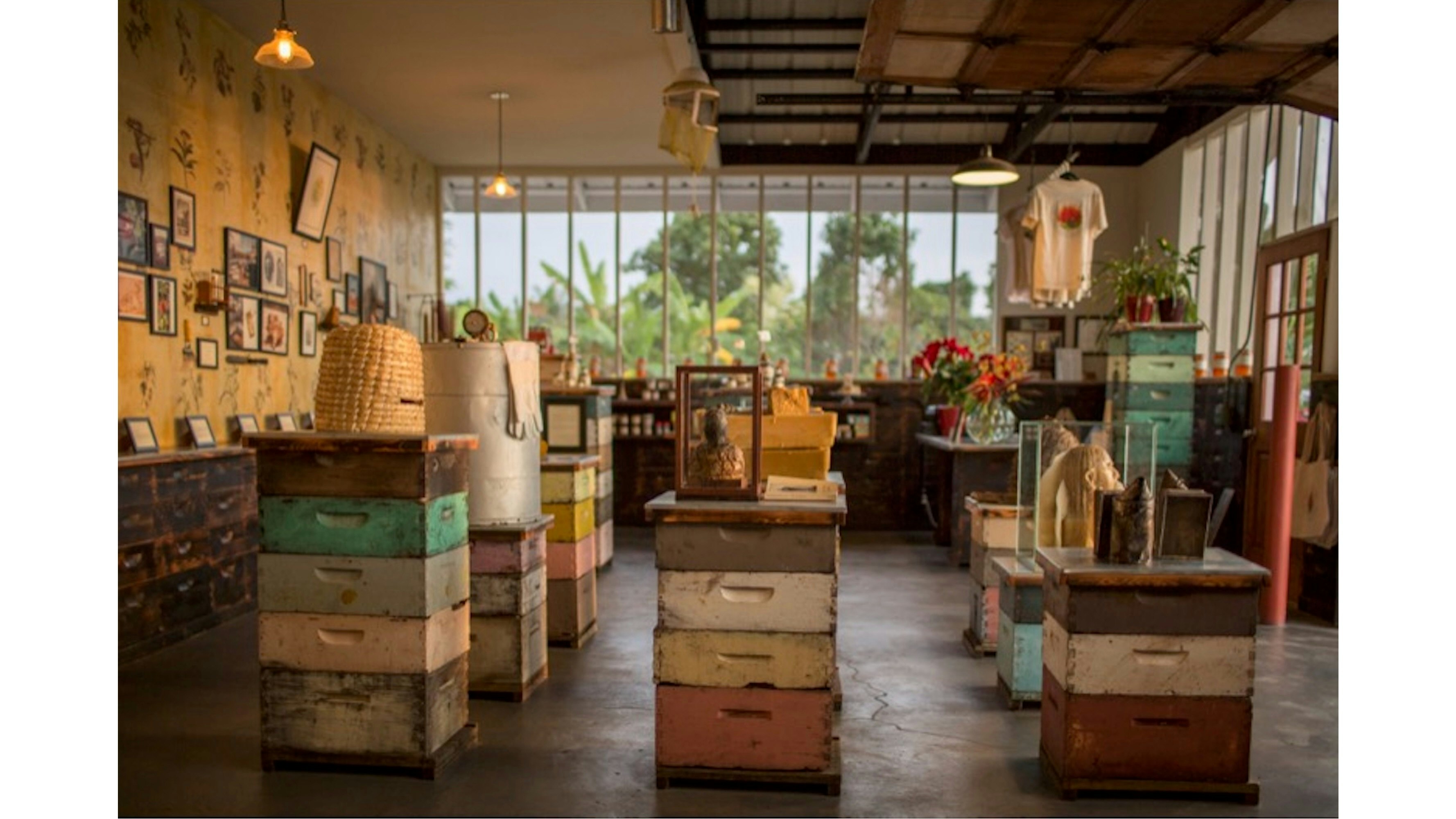 An interior shot of the Big Island Bees store.