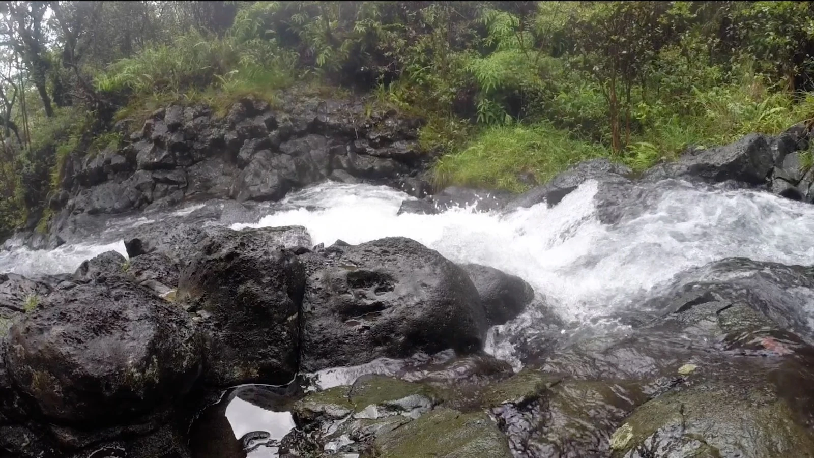 State land board shuts down Maui water rights petition