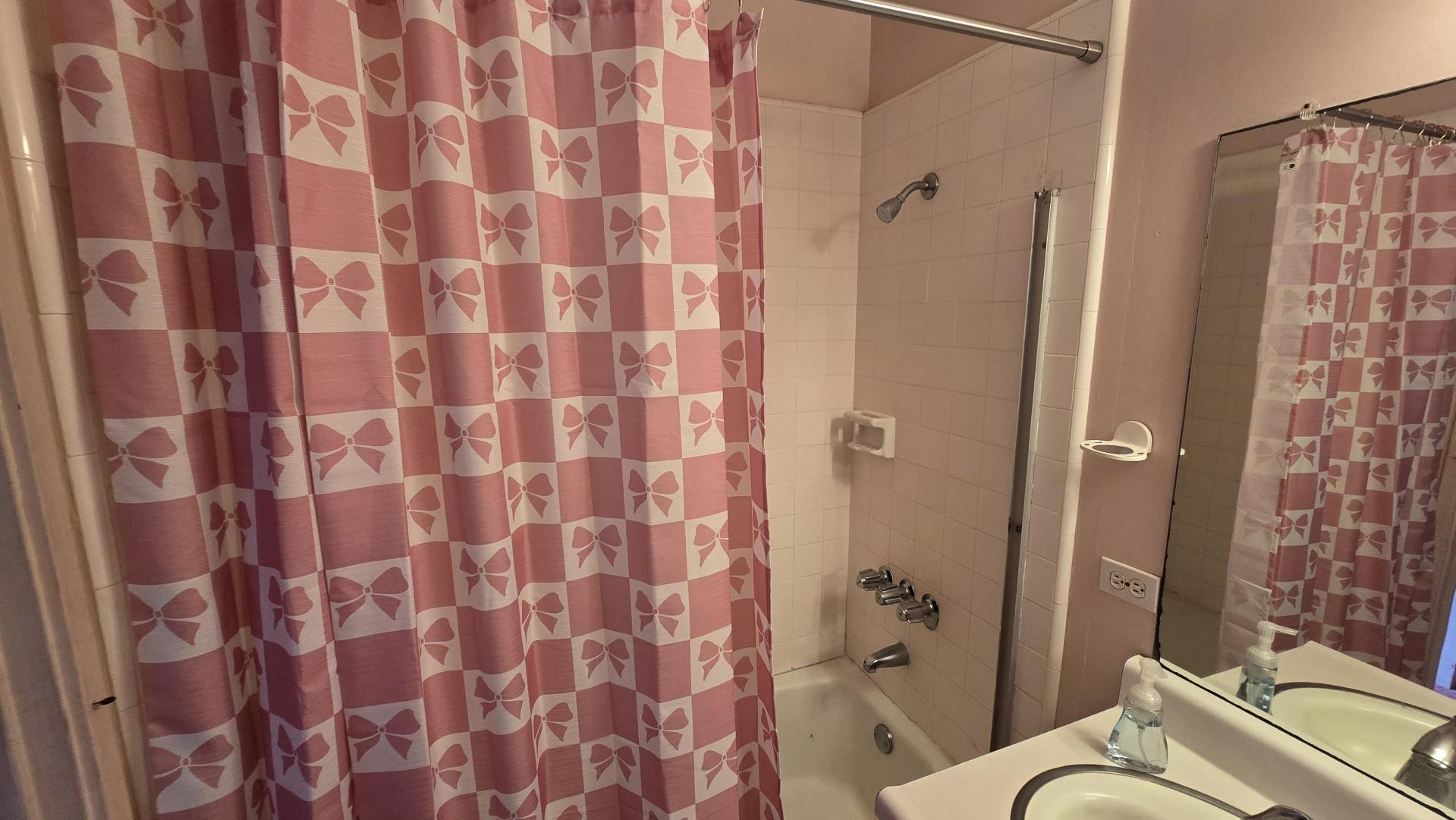 The pink bathroom