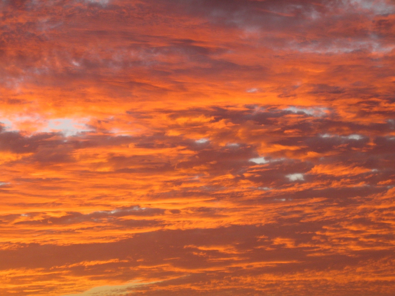 Red sky during sunset