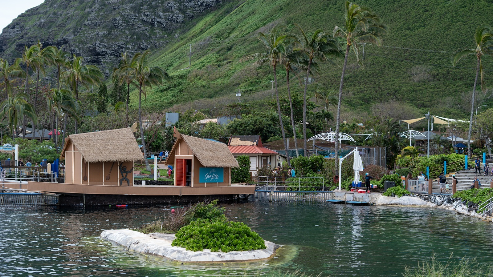 Hawaiian Council has acquired Sea Life Park near Waimānalo.