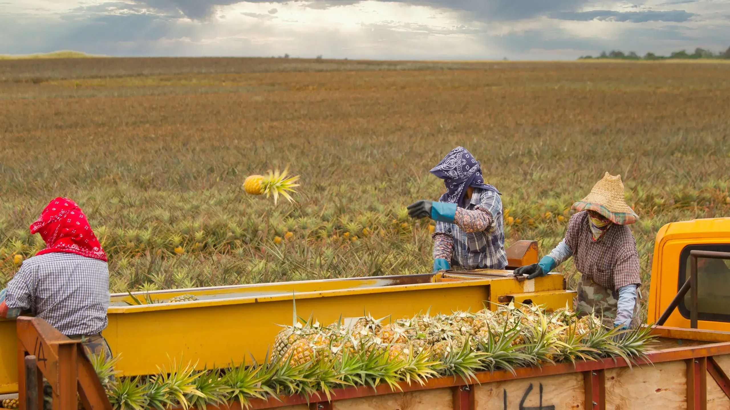 Community Voices: More local food starts with housing