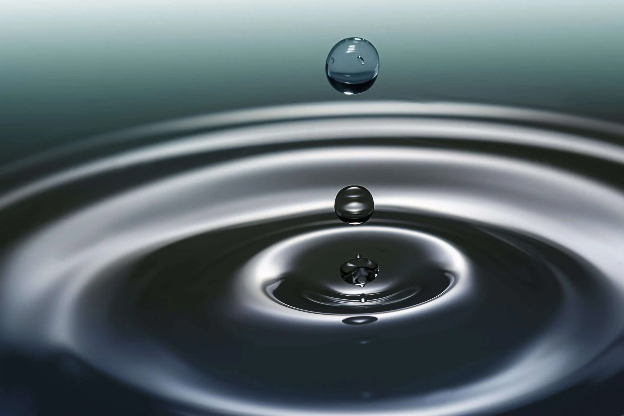 Courtesy of Grassroot Institute of Hawai‘i