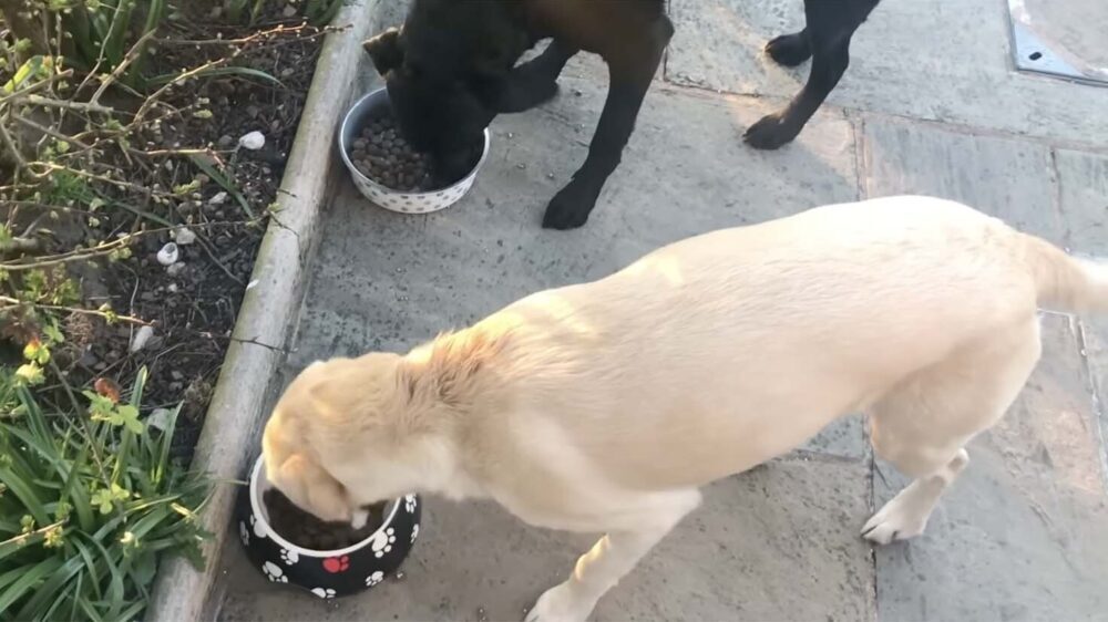 Daily Smile: Thursday, January 1, 2026