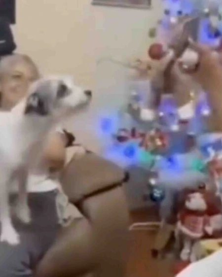 Daily Smile: Monday, January 5, 2026