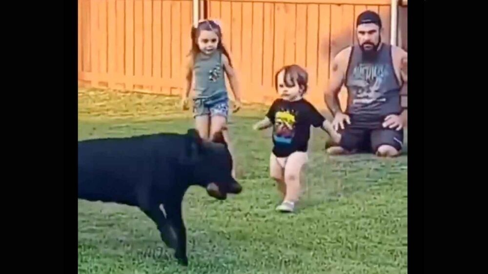 Daily Smile: Wednesday, December 31, 2025