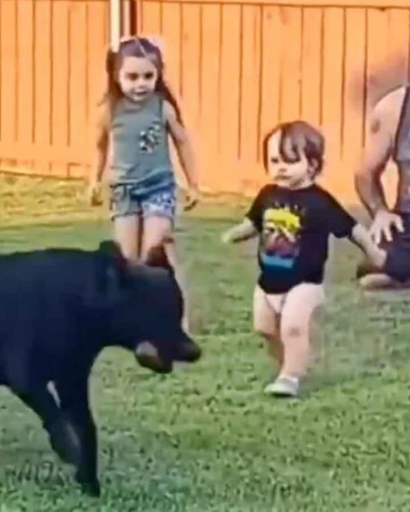 Daily Smile: Wednesday, December 31, 2025