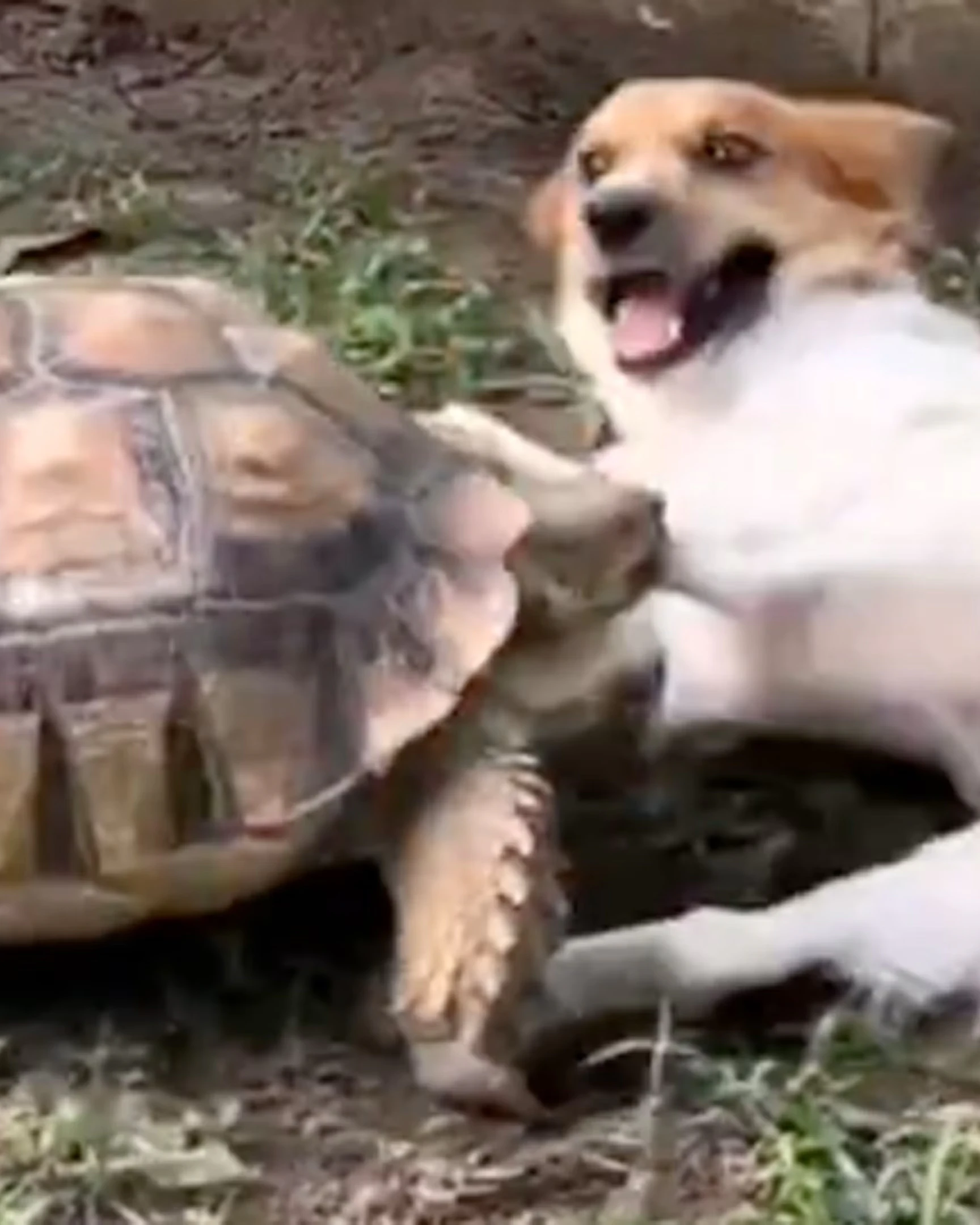 Daily Smile: Thursday, Aug. 6, 2026