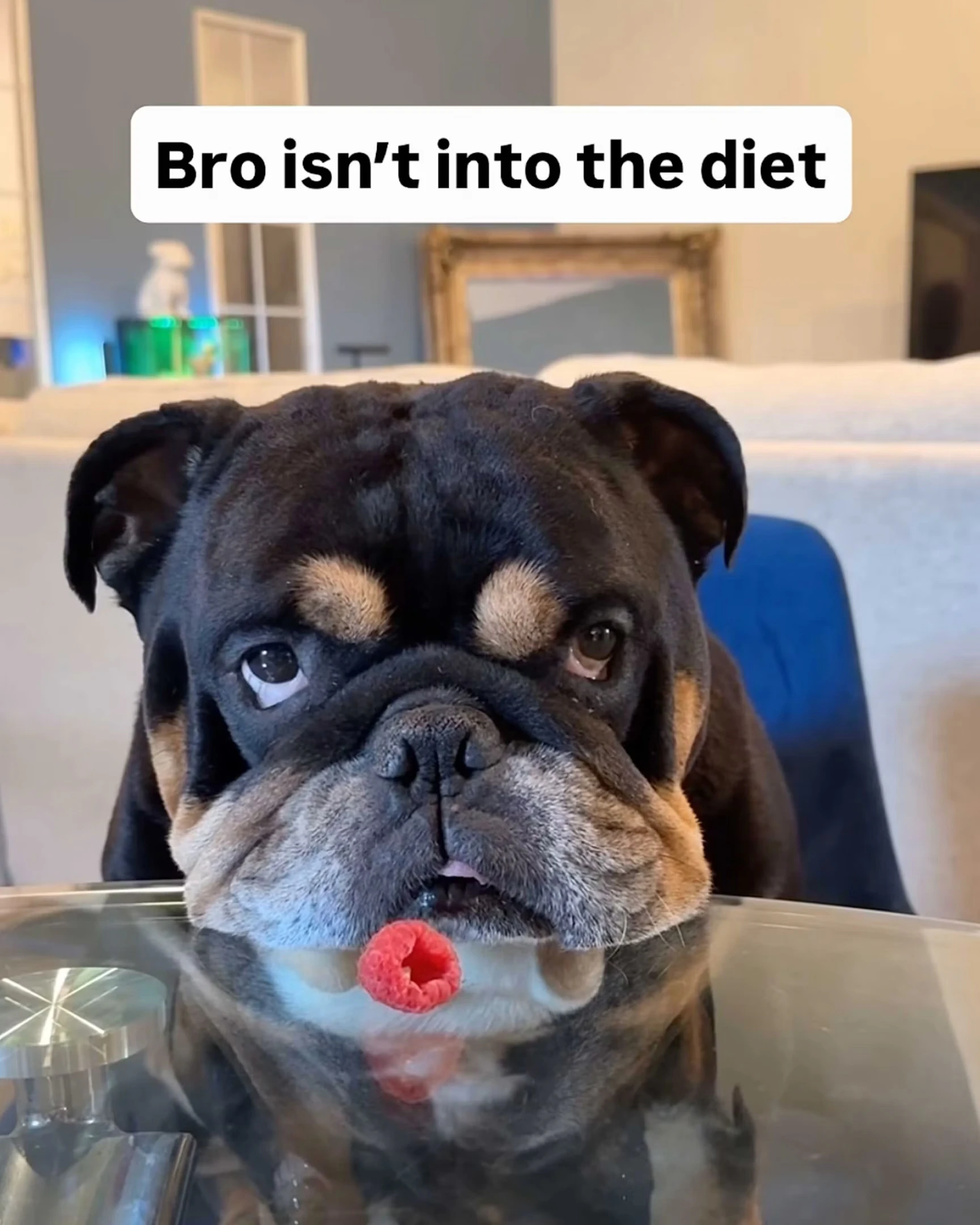 Daily Smile: Monday, Sep. 7, 2026