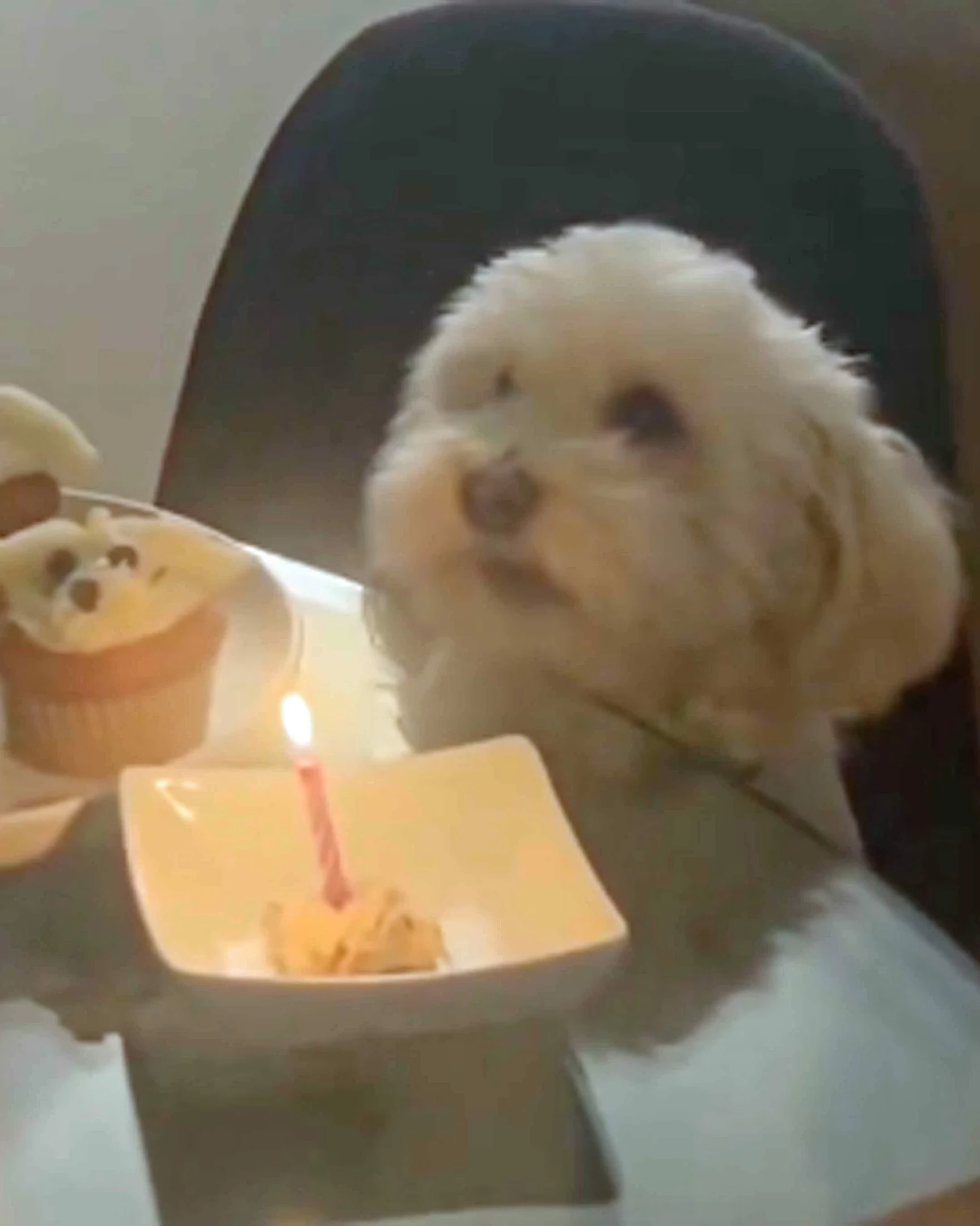 Daily Smile: Friday, March 20, 2026