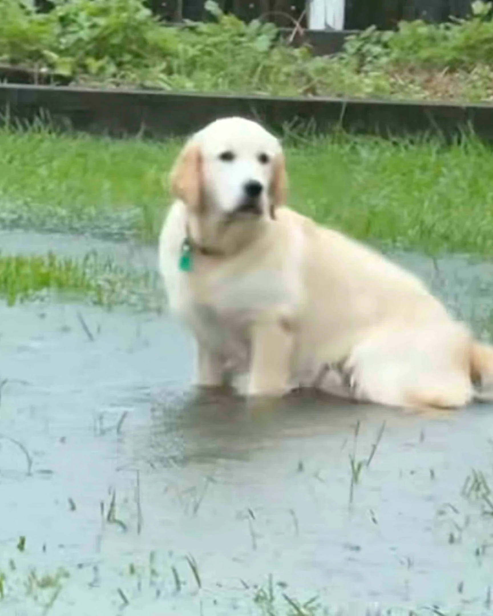 Daily Smile: Sunday, March 22, 2026