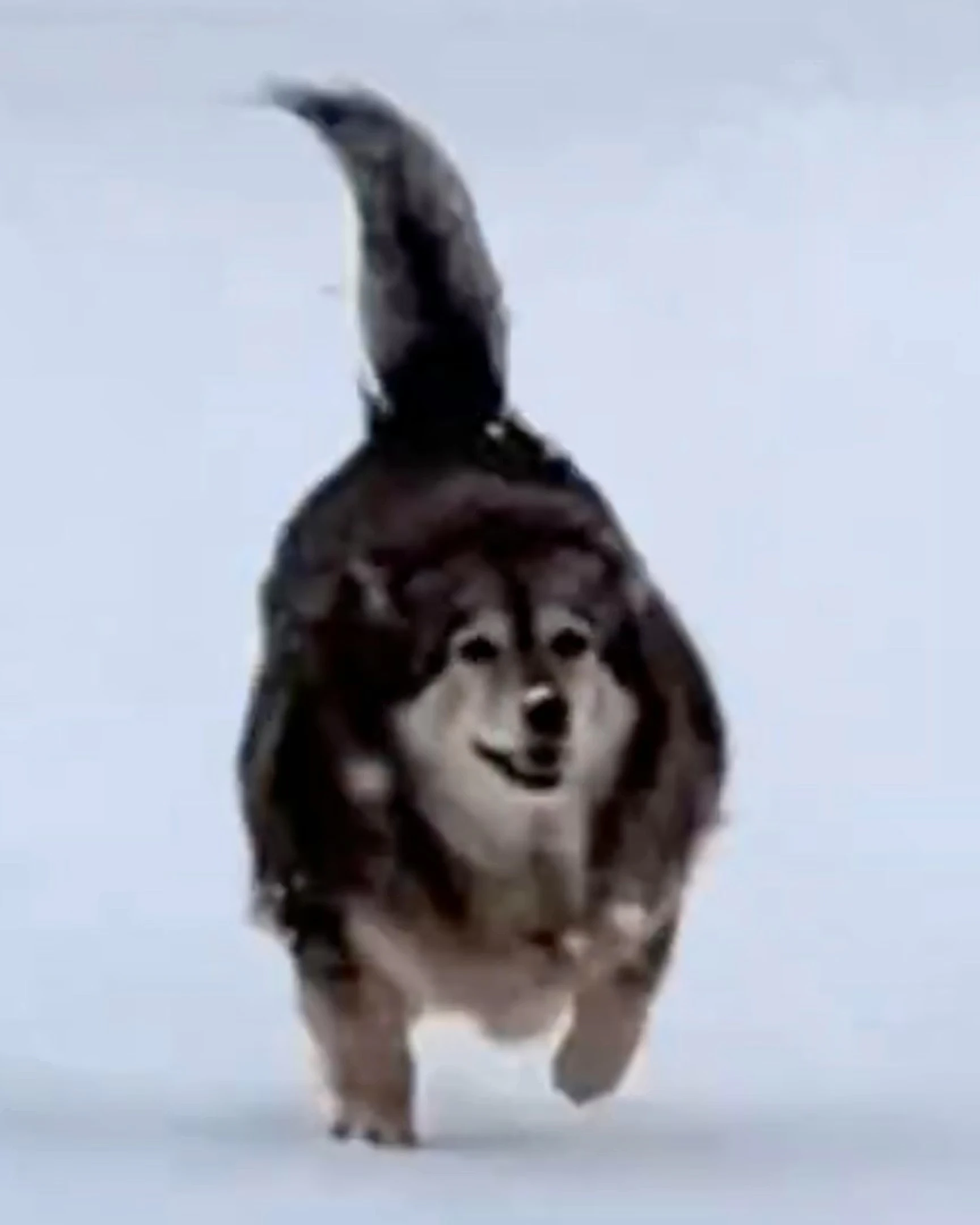 Daily Smile: Monday, March 23, 2026