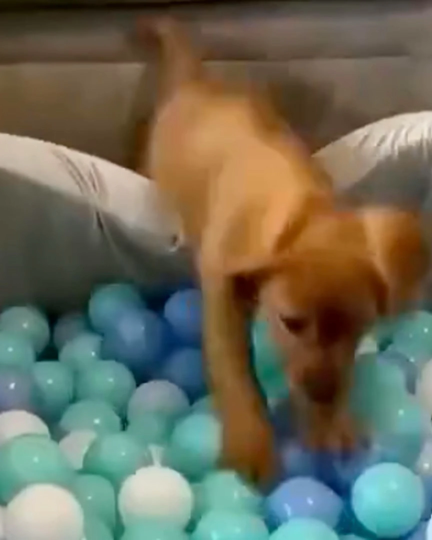 Daily Smile: Tuesday, March 24, 2026