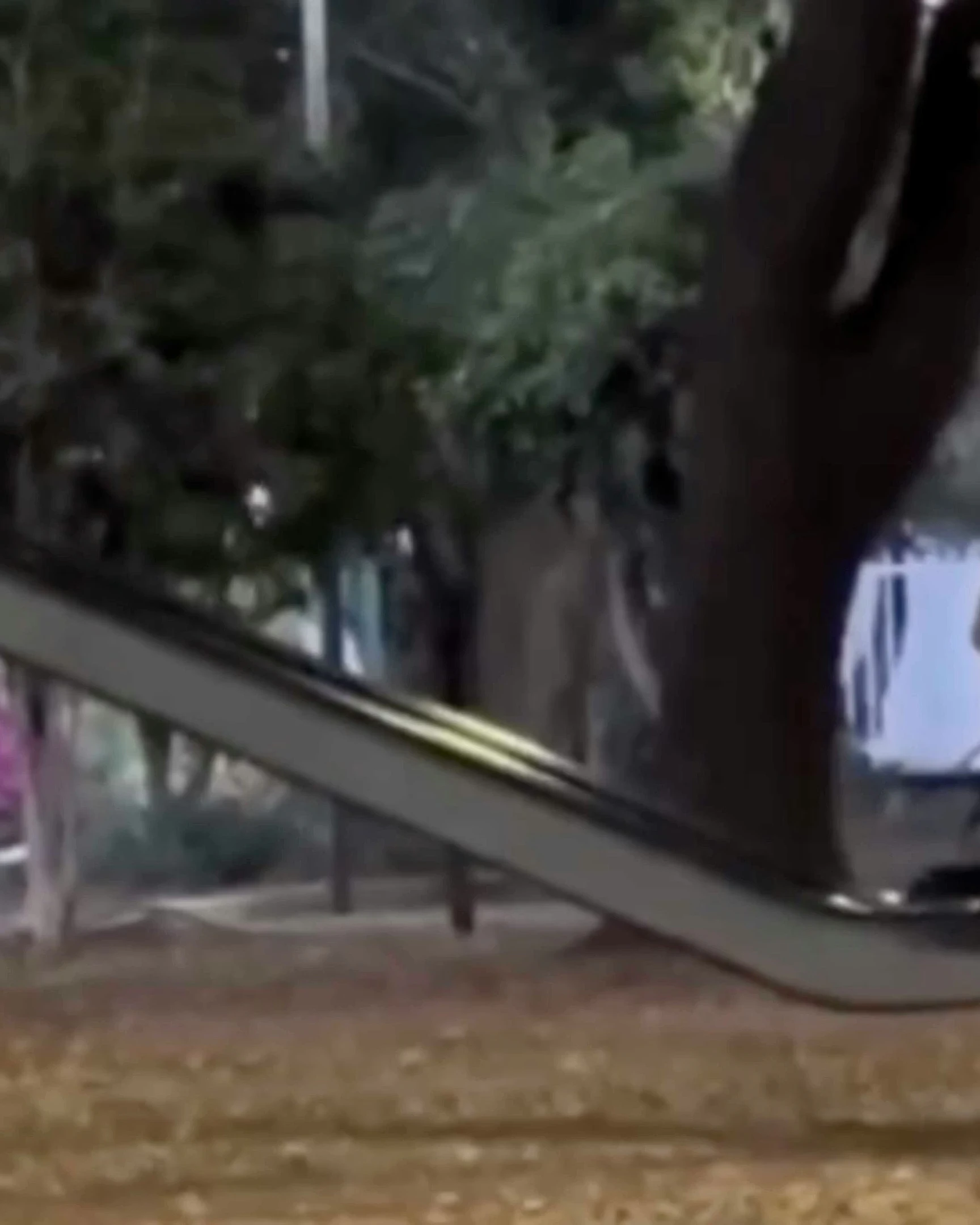 Daily Smile: Wednesday, March 25, 2026