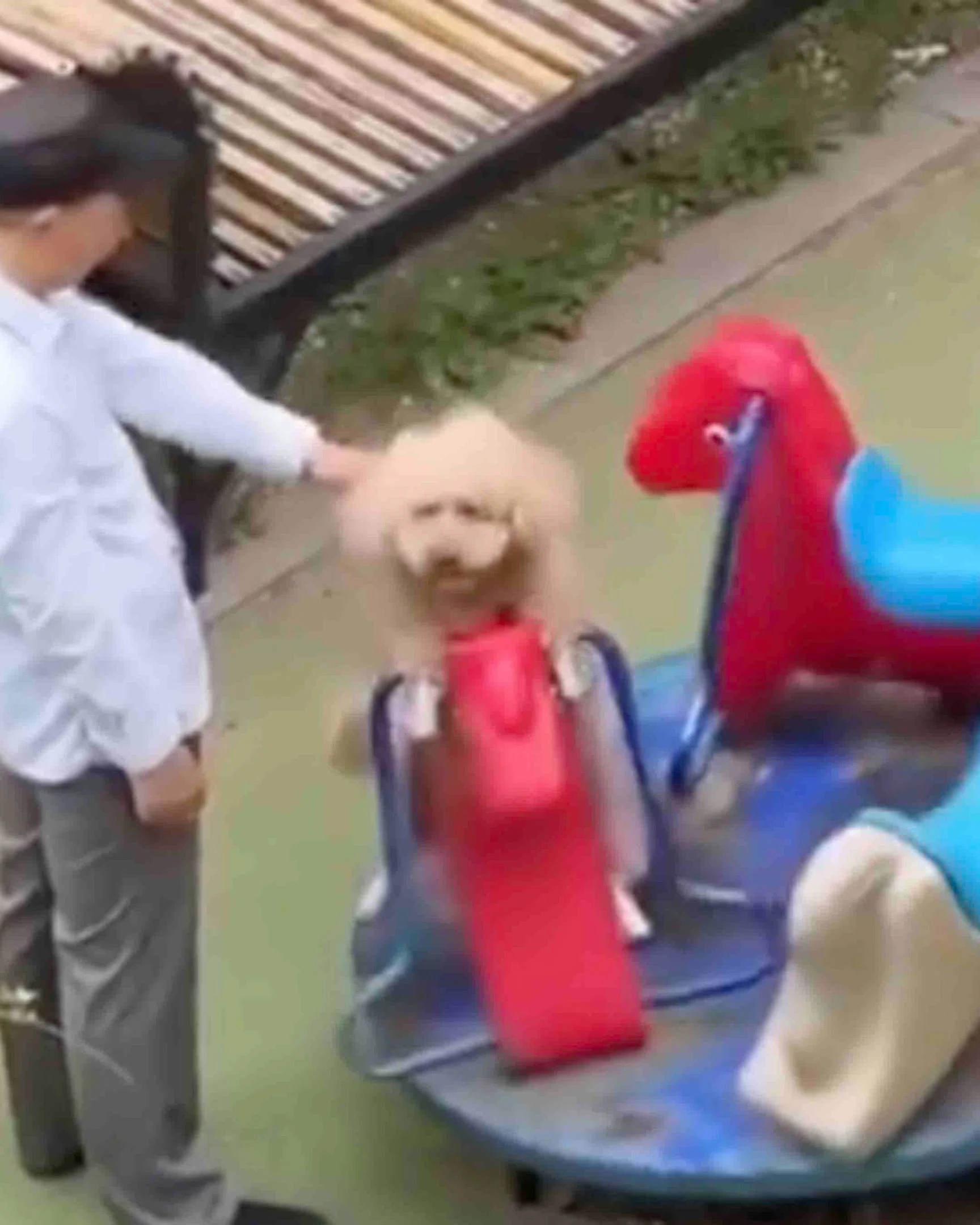 Daily Smile: Thursday, March 26, 2026