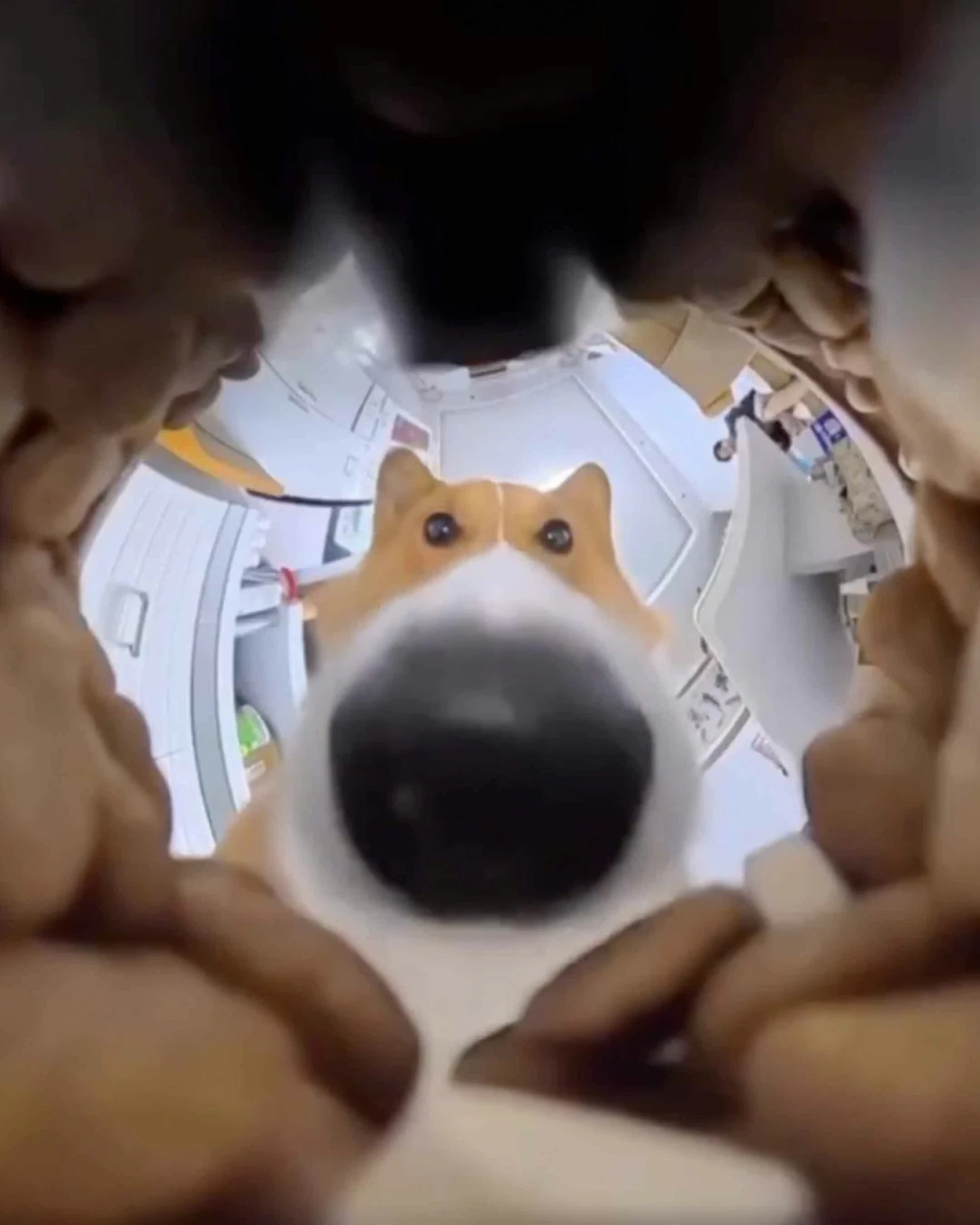 Daily Smile: Friday, March 27, 2026