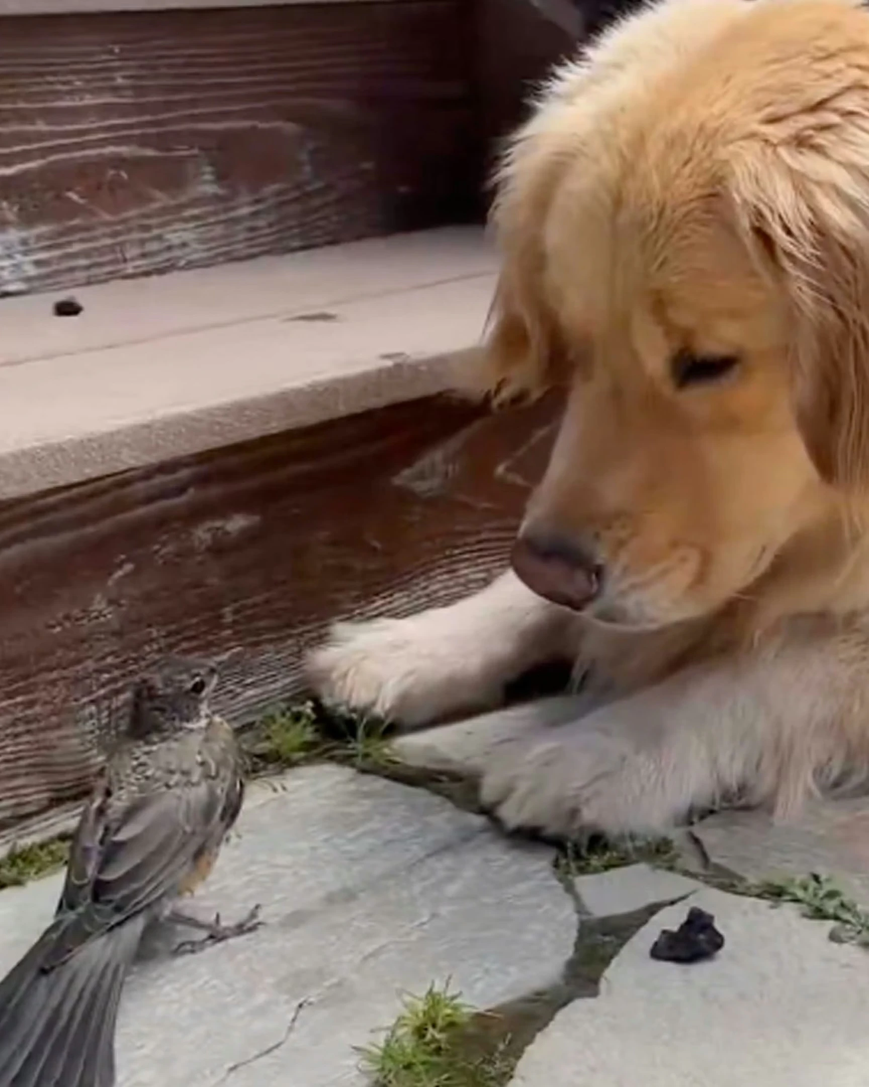 Daily Smile: Saturday, March 28, 2026